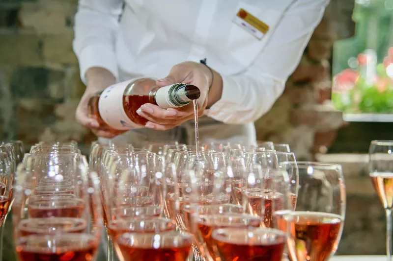 Degustácia
