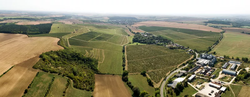 Vinohrady vinárstva GOLGUZ