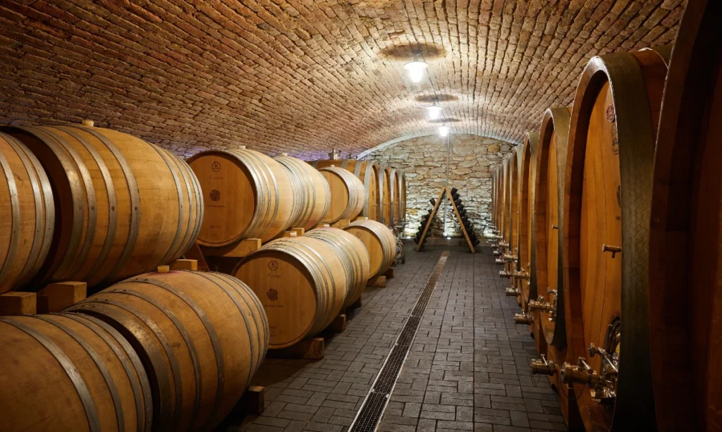 Château Rúbaň - sudy v pivnici