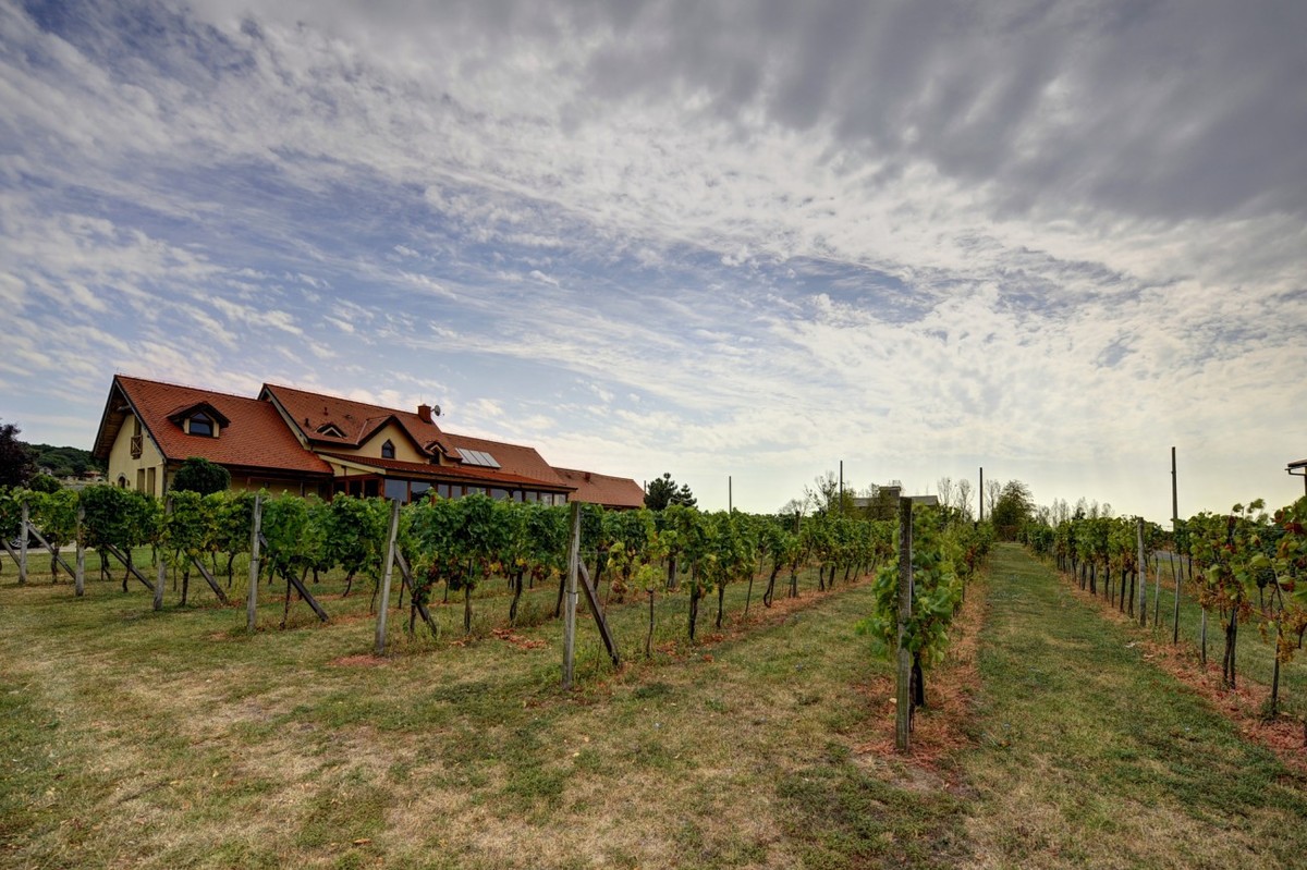 Ostrožovič Tokajský dom