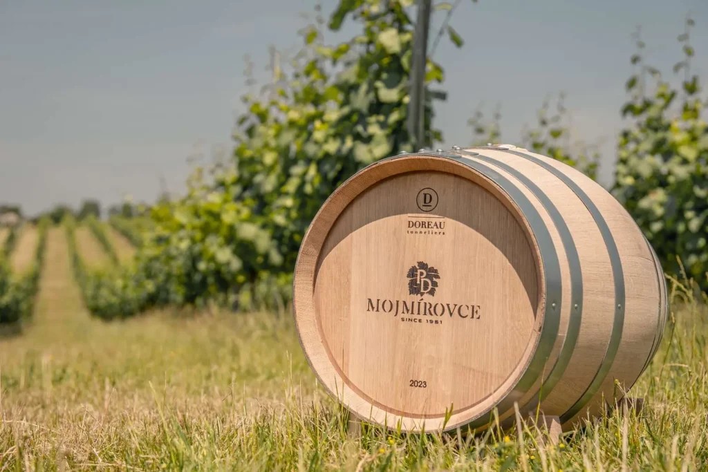 PD Mojmírovce vinohrady a sud vína