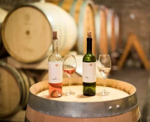 35. výročie založenia vinárstva Ostrožovič