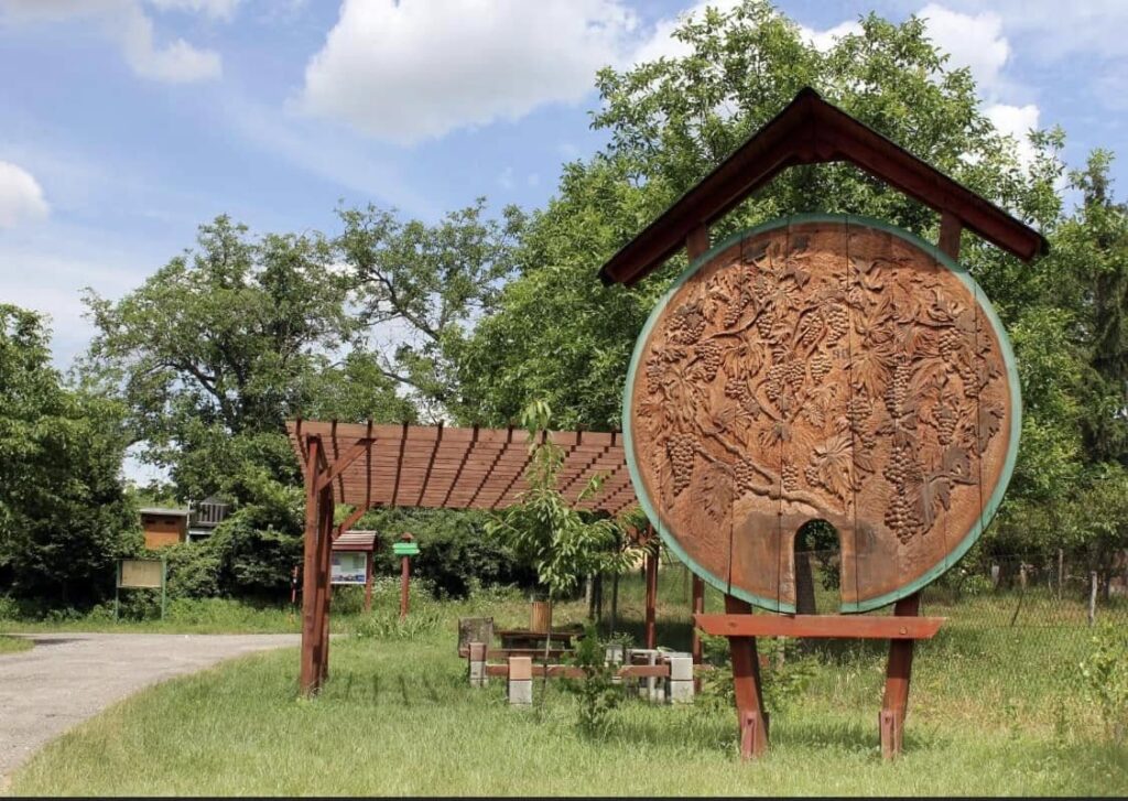 Združenie vinohradníkov Krížny vrch Levicie